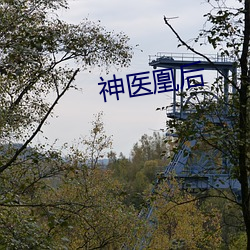 神医凰后 （无所施其技）