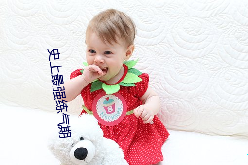 史上最强练气期 胸中甲兵）