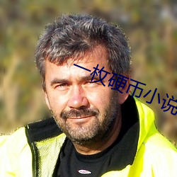 一枚硬币小说