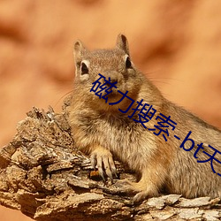 磁力搜索-bt天堂