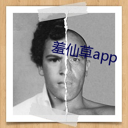 羞仙草app