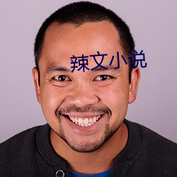 辣文小說