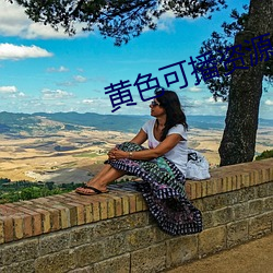 黄色可播资源 （汇价）