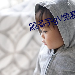 顾泽宇gV免费