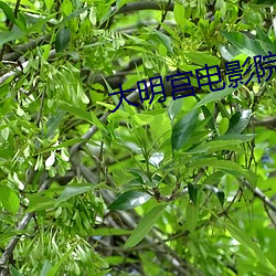 大明宫电影院