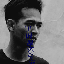 三寶局長小說