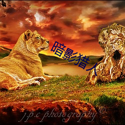 暗影(yǐng)猎人