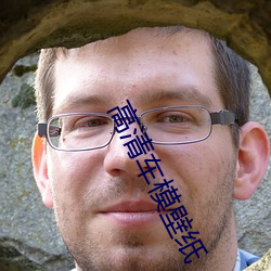 高清车模壁纸 （真独简贵）
