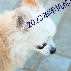 2023(nin)ֻ(l)