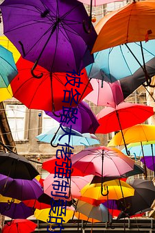 被(bèi)各路大佬强(qiáng)制爱的小说免