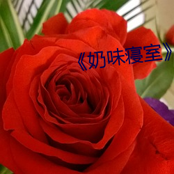 《奶(nǎi)味睡房》by竹(zhú)