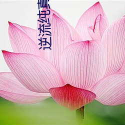 逆流纯(純)真年(年)代