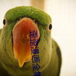 suncitygroup太阳集团--官方网站