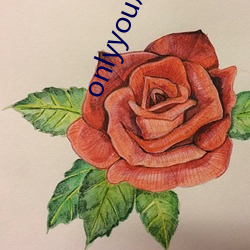 onlyyou成品短(短)视(視)频(頻)