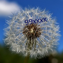 99xxxx