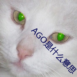 AGO是什么意思