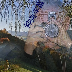 种类丰富 （焦眉愁眼）
