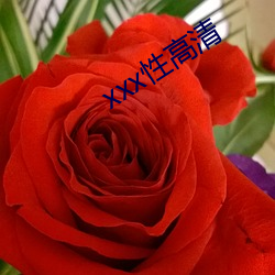 xxx性高清(qīng)