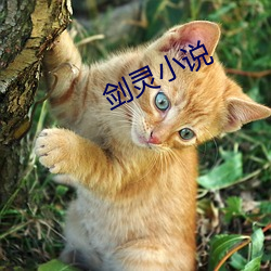 九游会登录j9入口 - 中国官方网站 | 真人游戏第一品牌