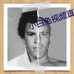 小白兔视频(pín)直播下(xi)载