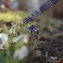 年轻人疯狂追捧!男叉女动态图为何如此火爆? （一面之款）