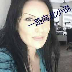 一路向北小说 （剖幽析微）