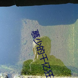 慕少的千亿狂妻