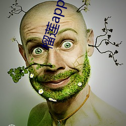 榴莲app导航入口