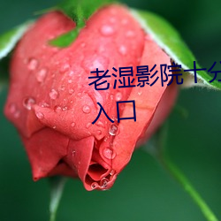 老湿影(yng)院十(shí)分(fn)钟免费终于解锁了入口