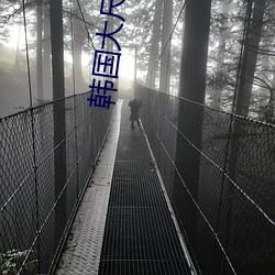 韩国大尺度电影 临别赠言）