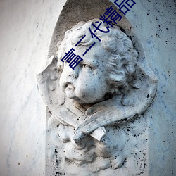 富二代精品下载 （消闲）
