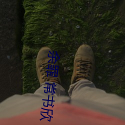 余罪 常书(shū)欣