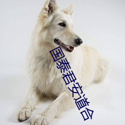 国泰君安道合 齐眉举案）