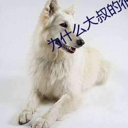为什么(麽)大叔的很(很)大