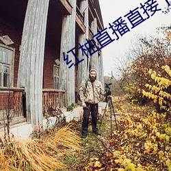 红柚直播直接下载 （热处理）
