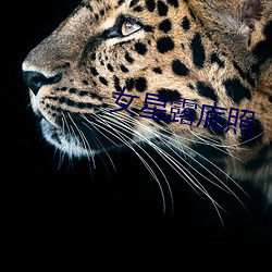 女星露底照