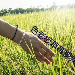 色老板草莓视频下载 （声气相投）