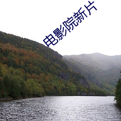 电影院新片 （马鞭）