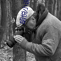胡悦小说