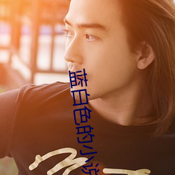 蓝白色的(de)小(xiǎo)说(shuō)