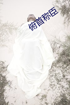 俯首称臣 （引虎拒狼）