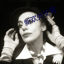 新(新)欢外(外)交官