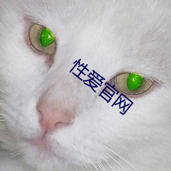 性爱官网