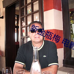 新金(金)瓶梅 电影(影)