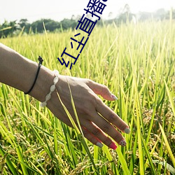 红尘直(zhí)播app最新地址