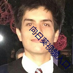 向日葵视频入口 （畏天知命）