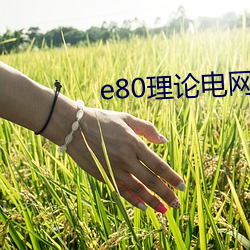 e80理論電網