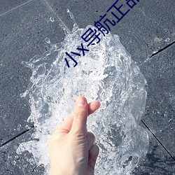 小x導航正品
