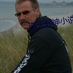 逆天邪神小說