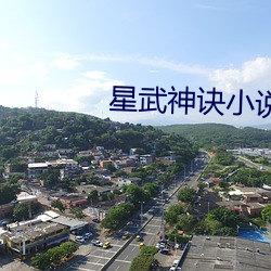 星武神訣小說